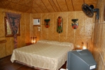 Iguana Bedroom