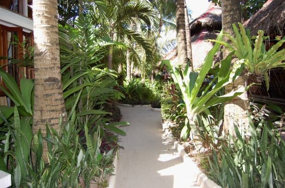 Garden Pathway