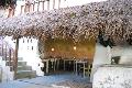豪不起眼的 Caribo Restaurant