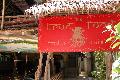 True Food Indian Cuisine